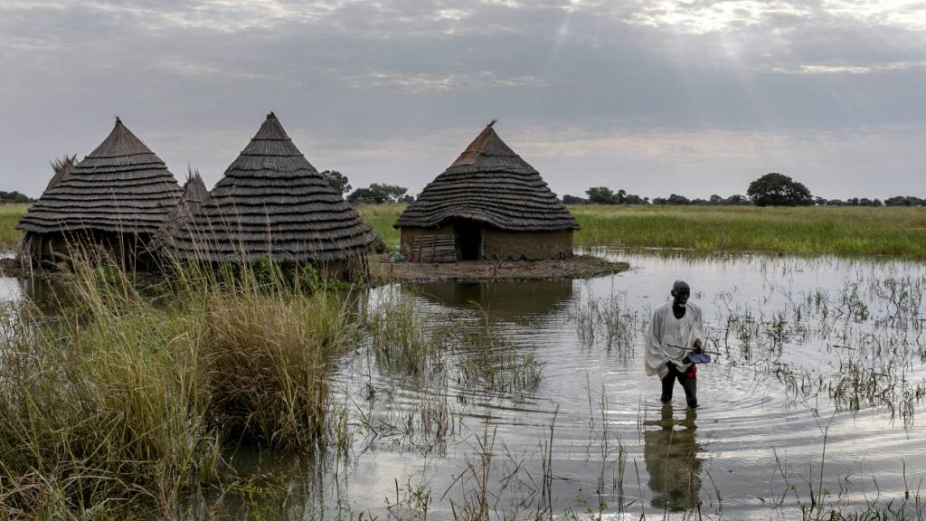 Fast 90 Schlangenangriffe nach Regenfällen im Südsudan