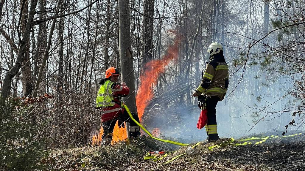 Feuerwehr muss wegen brennendem Waldboden ausrücken