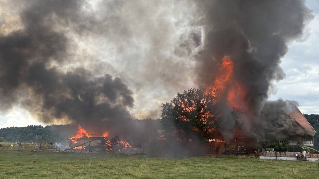 Brand zerstört Bauernhaus und Schopf – zwei Personen verletzt, mehrere Tiere tot