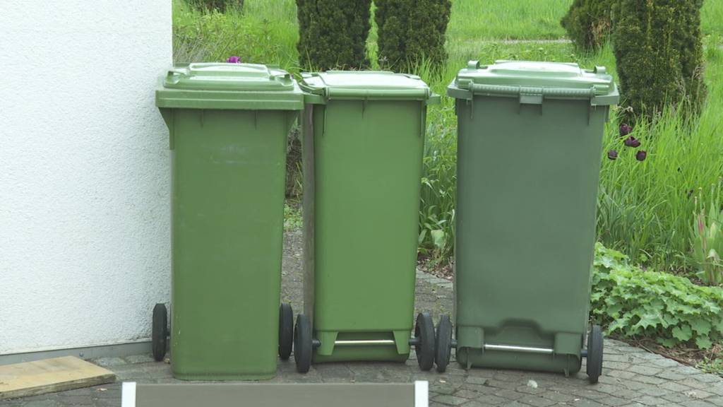 Knatsch um neues Hochdorfer Abfallreglement