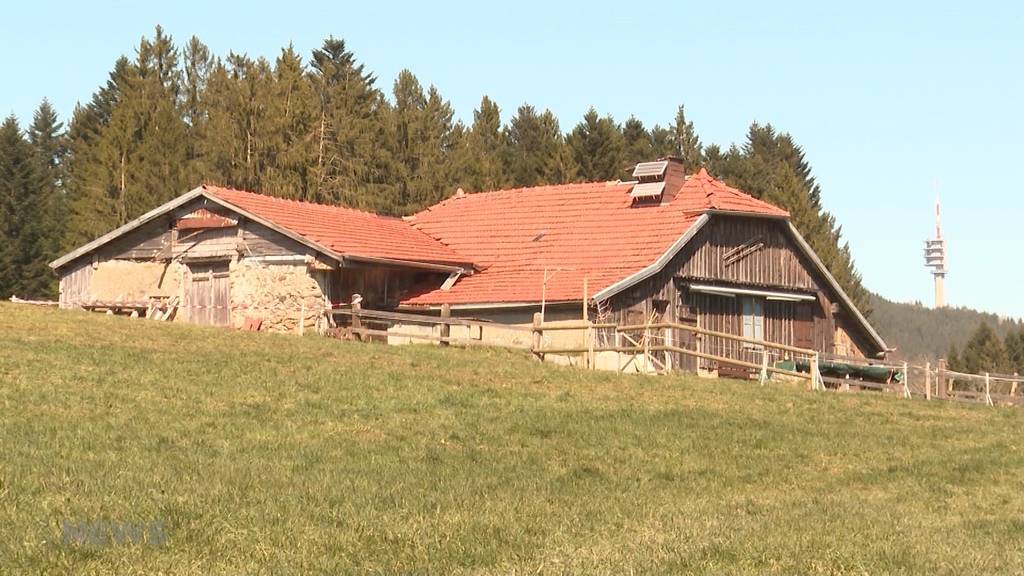 Tötungsdelikt in Sorens: Erschossen, erschlagen und in Jauchegrube geworfen