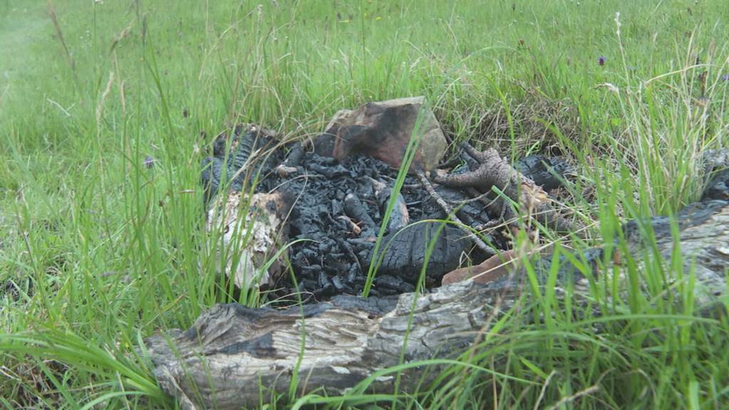 Im Moorgebiet auf dem Glaubenberg OW ist wildes Campieren beliebt