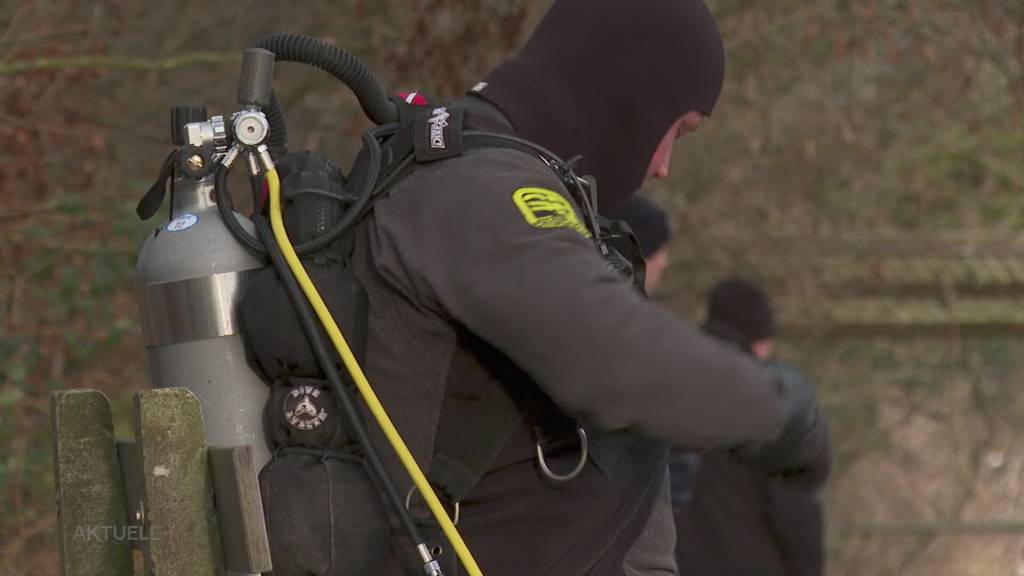 Kurioser Unfall: Nachdem eine Autofahrerin in Wallbach in den Rhein fuhr, verschwand ihr Auto spurlos