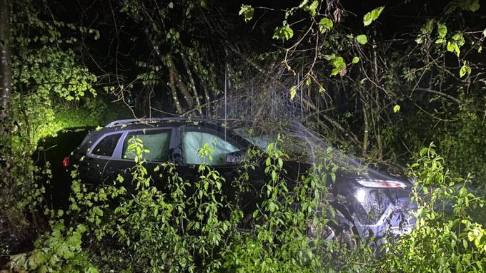 Autofahrer (52) landet nach Ausweichmanöver in Bachbett