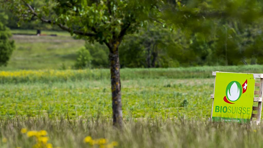 17 Prozent Bio-Landwirtschaft auf katonseigenen Aargauer Flächen