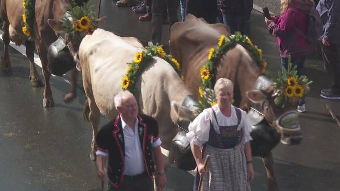 Vorschau Kultur