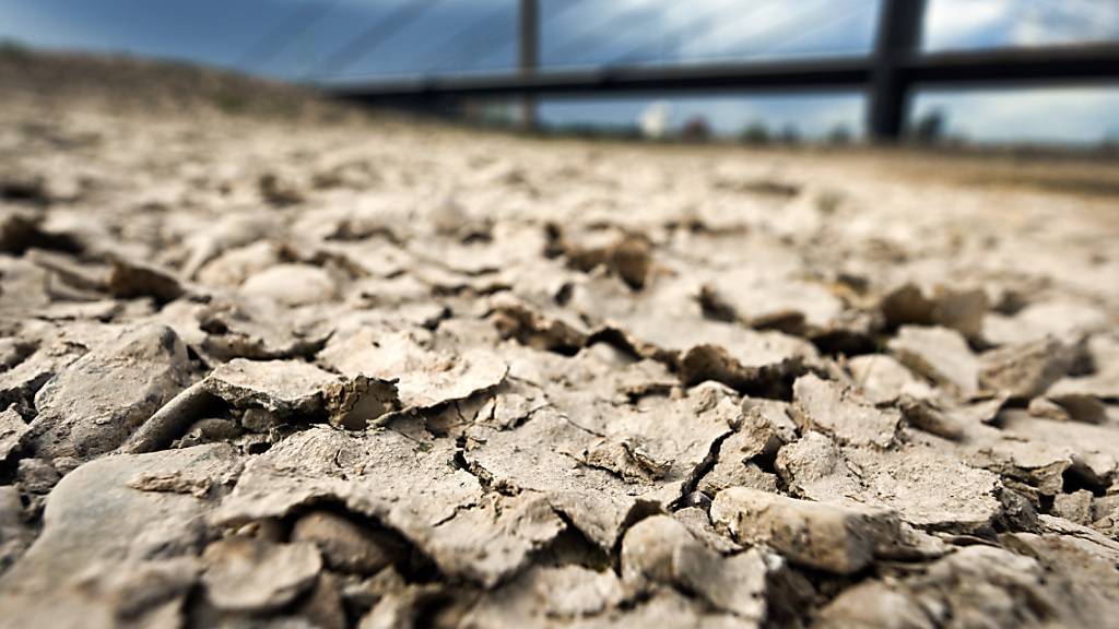 Fast die Hälfte Europas ist einem Expertenbericht zufolge von Dürre bedroht. In einem Bericht der Europäischen Dürrebeobachtungsstelle heisst es, mit Stand 10. August werde für 47 Prozent des europäischen Gebiets vor Dürre gewarnt. (Archivbild)