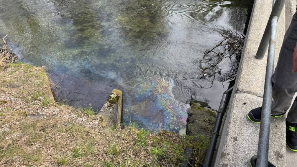 Am Donnerstagmittag wurde im Werdenberger Binnenkanal ein Ölfilm entdeckt. Die Feuerwehr errichtete zwei Ölsperren.