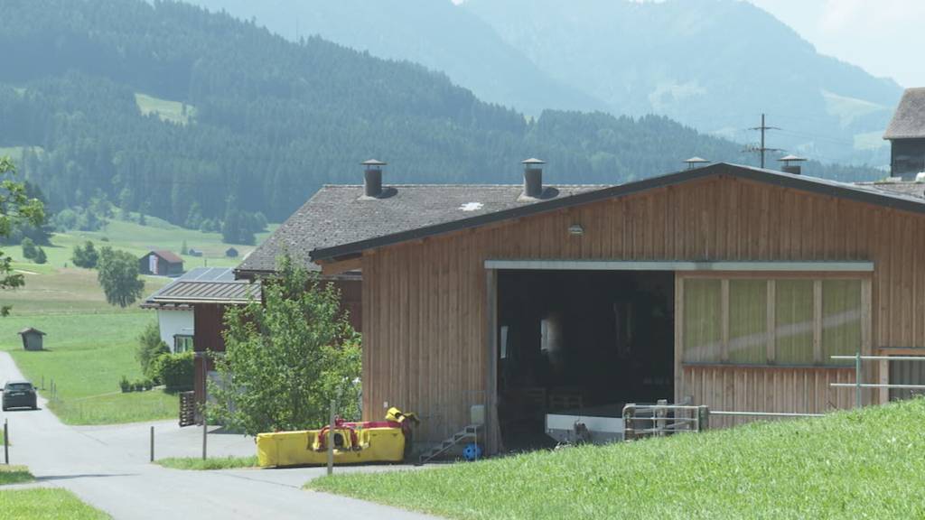 Erhöhte PFAS-Werte in Appenzeller Milch: Kanton bietet Gratis-Tests für Bauern an