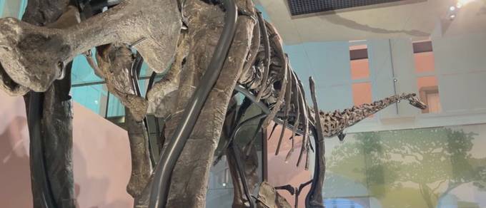 Zürcher Museum öffnet wieder mit vier neuen Dino-Attraktionen