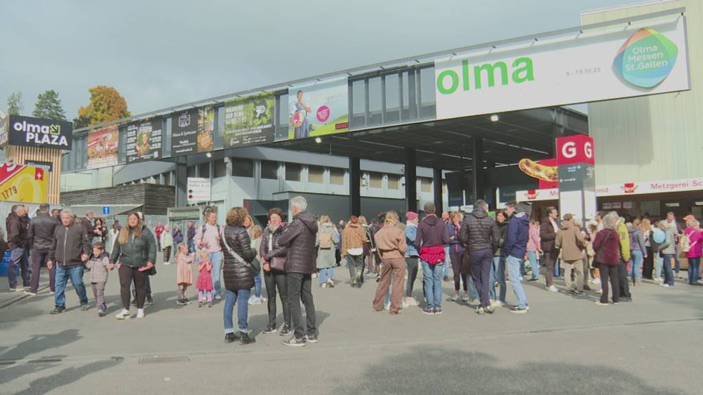 Chaos um Olma-Rinder: Zwei Kinder verletzt – ein Tier erschossen