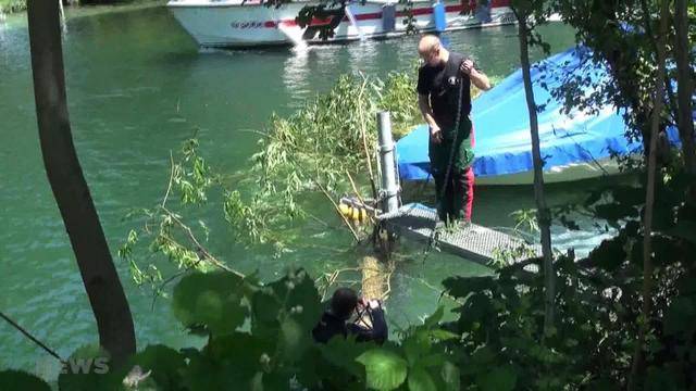 Tierische Gefahr: Polizeieinsatz wegen Biber