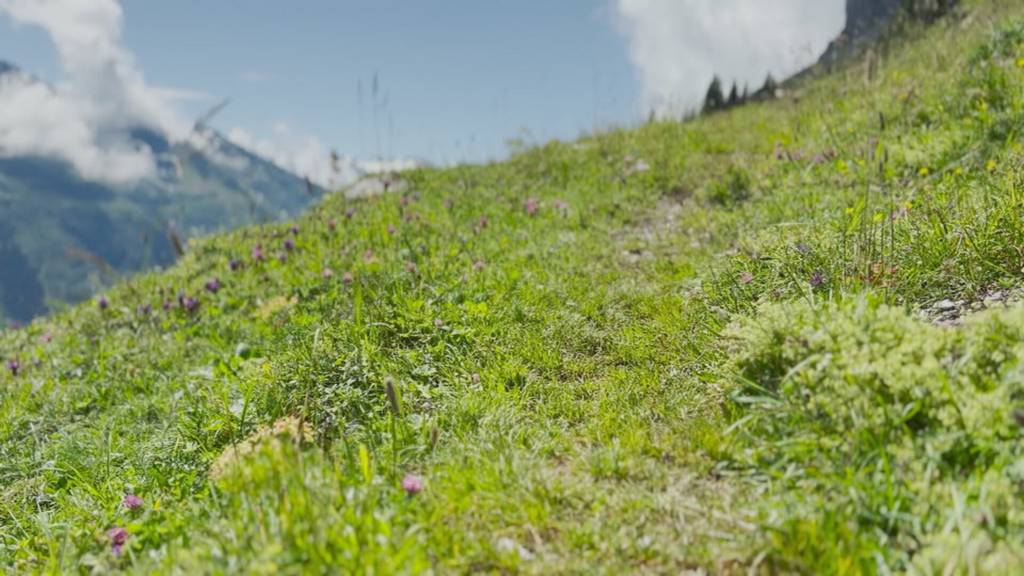 Herausforderungen für Gemeinde Innertkirchen: Grösste Gemeinde im Kanton hat nur rund 1’000 Einwohnende