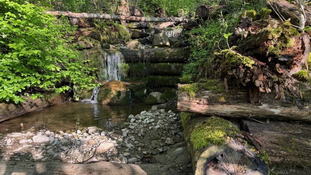 Die Seitenleitwerke im Bach Mosgräbli in der Gemeinde Sarnen OW sind durch Fäulnis zerstört.