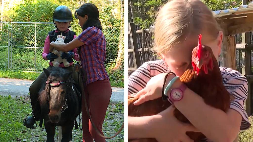Kleine Ponyfans / Kleine Tierfreunde 