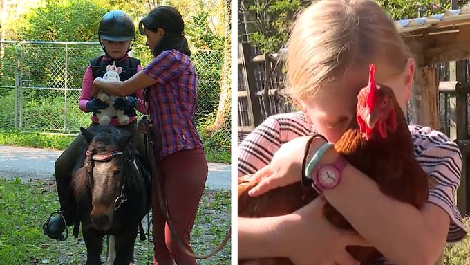 Kleine Ponyfans / Kleine Tierfreunde 