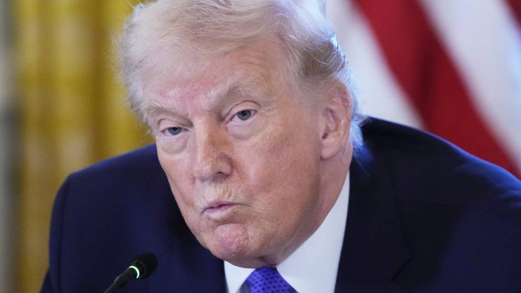 US-Präsident Donald Trump nimmt im East Room des Weißen Hauses in Washington an einem Treffen mit Ölmanagern teil. Foto: Alex Brandon/AP/dpa