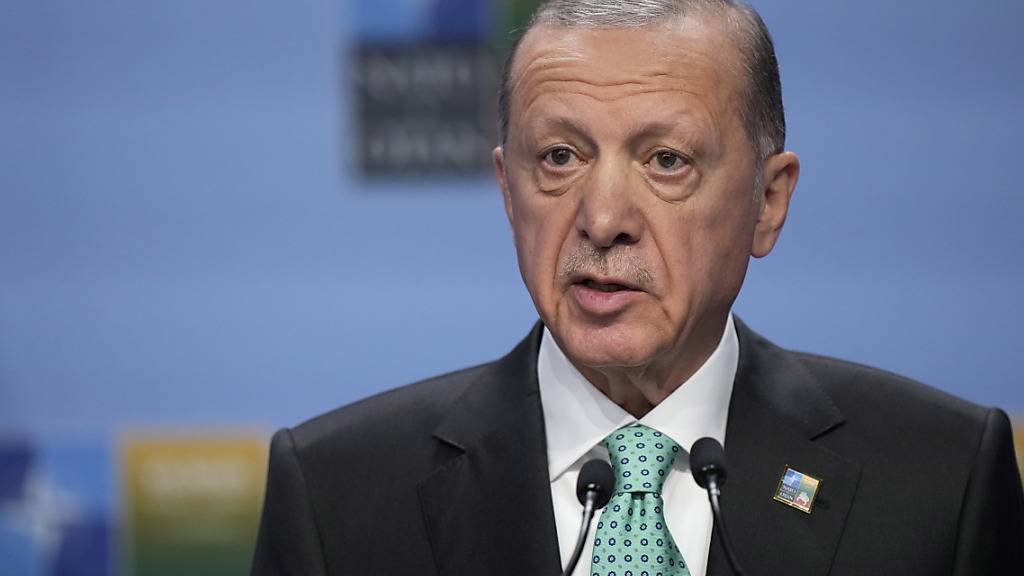 ARCHIV - Recep Tayyip Erdogan, Präsident der Türkei, spricht im Juli 2023 auf einer Veranstaltung am Rande eines Nato-Gipfels in Vilnius. Foto: Pavel Golovkin/AP/dpa
