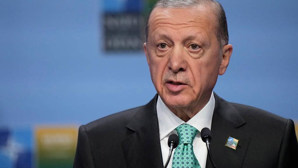 ARCHIV - Recep Tayyip Erdogan, Präsident der Türkei, spricht im Juli 2023 auf einer Veranstaltung am Rande eines Nato-Gipfels in Vilnius. Foto: Pavel Golovkin/AP/dpa