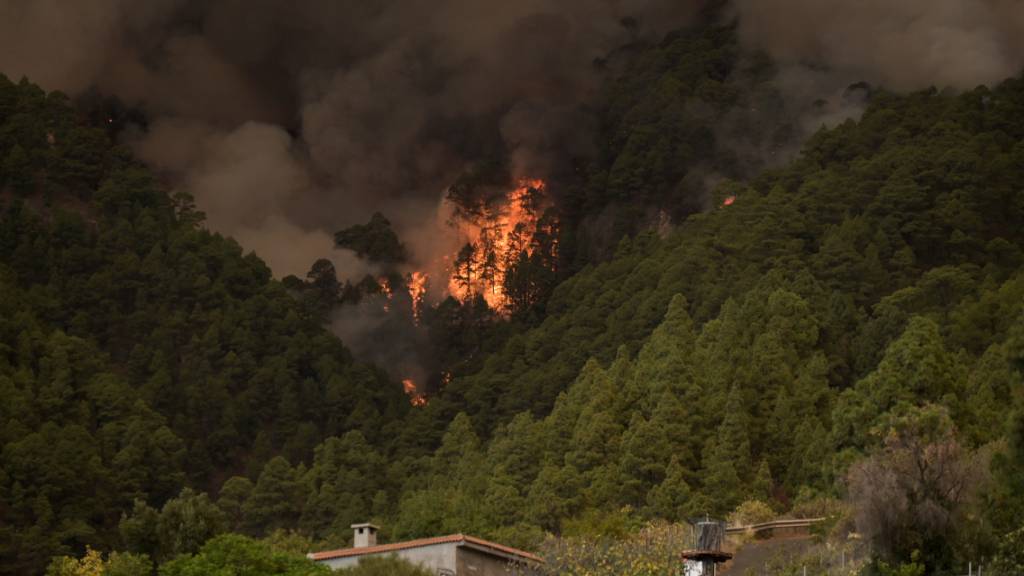 Der Wald brennt in der Nähe von Häusern. Foto: Europa Press/EUROPA PRESS/dpa