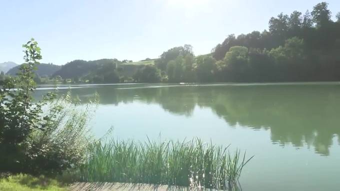 Nach Vergiftungen am Neuenburgersee: Ist Baden im Rotsee gefährlich?