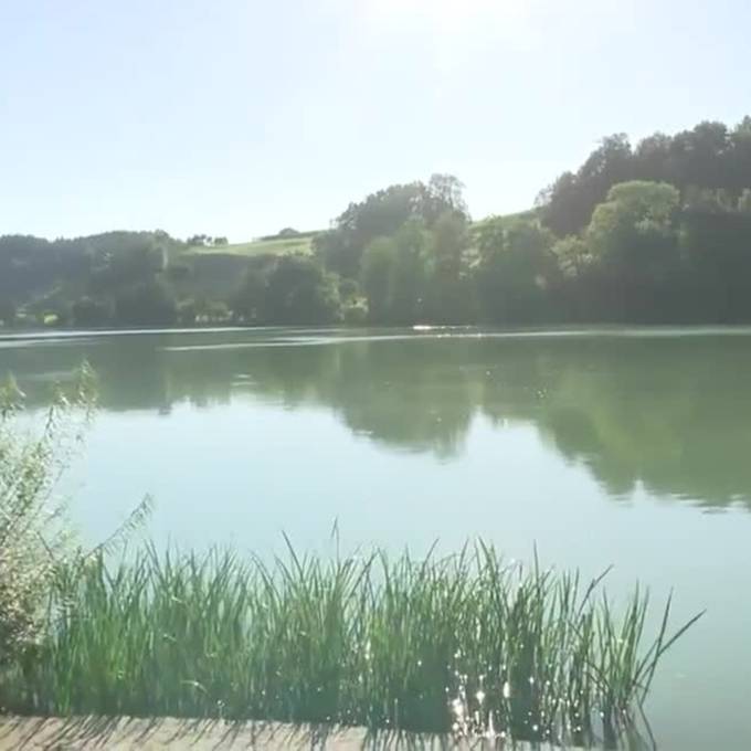 Nach Vergiftungen am Neuenburgersee: Ist Baden im Rotsee gefährlich?
