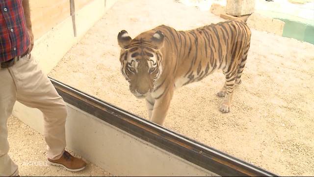 Siky Wildtierpark feiert Eröffnung