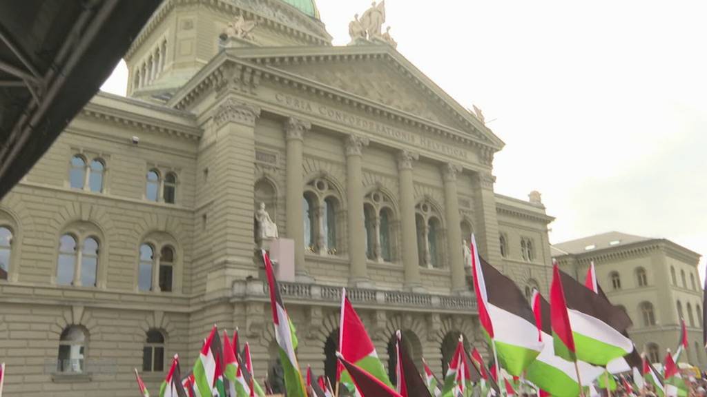 Pro-Palästina Demo Bern