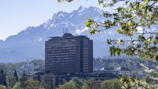Luzerner Regierung gegen Ausschreibungspflicht für Verwaltungsräte