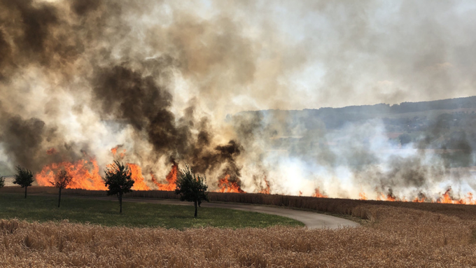 Mähdrescher setzt Kornfeld in Mauensee in Brand