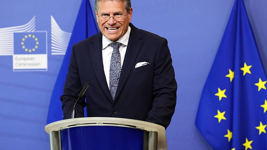 ARCHIV - Der neue EU-Klimakommissar Maros Sefcovic hält Atomkraft für sehr wichtig im Kampf gegen den Klimawandel. Foto: Geert Vanden Wijngaert/AP/dpa