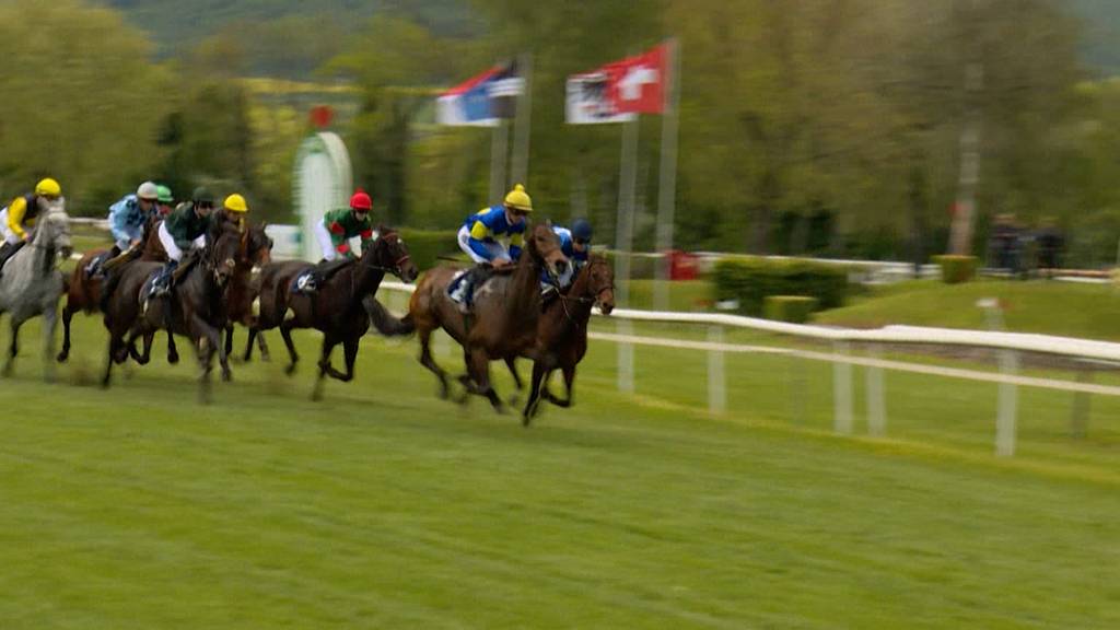 Aargau TopSport: Pferderennen Aarau