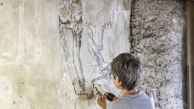 Seltene Wandmalereien in Zuger Altstadthaus entdeckt