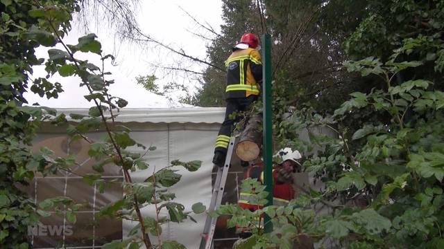 Baum auf Restaurant gestürzt