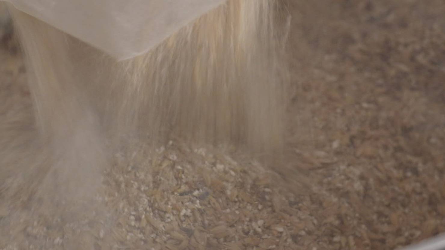 Danny Bolt braut Bier mit Herz | TeleZüri