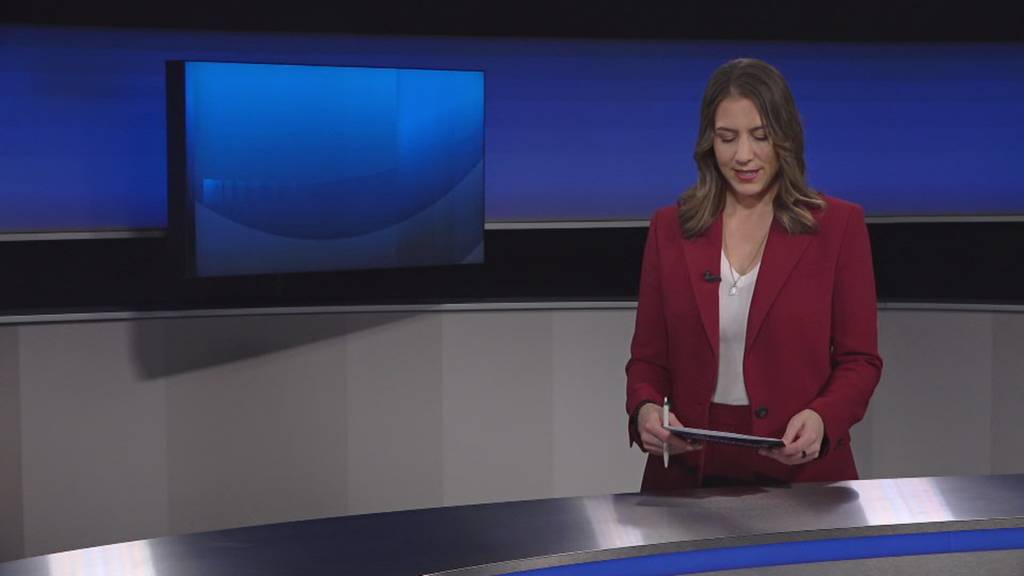 Chamer Dartspieler Stefan Bellmont schafft Historisches