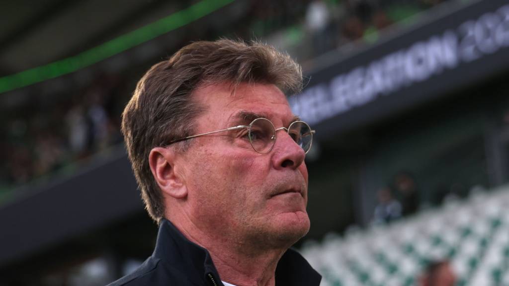 Wolfsburgs Trainer Dieter Hecking muss mit seinem Team weiter um den Verbleib in der Bundesliga zittern