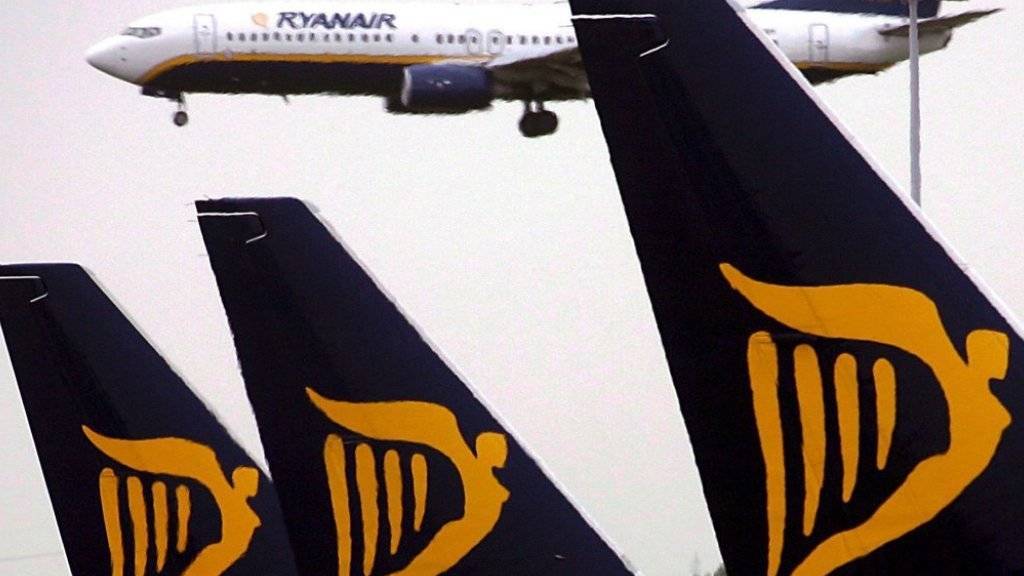 Die irische Billig-Airline Ryanair befindet sich im Höhenflug. Nun sollen die Ticket-Preise sinken.