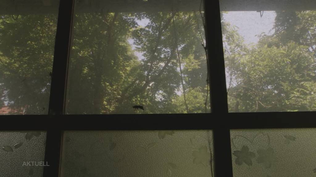 80 Jahre nach Hiroshima – Enkelin dokumentiert den nuklearen Horror