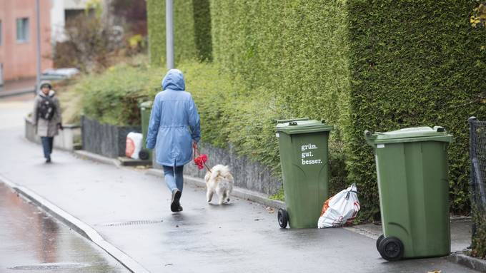 Grüngutabfuhr in der Stadt St.Gallen als Pflicht? Der Stadtrat hält wenig von der Idee