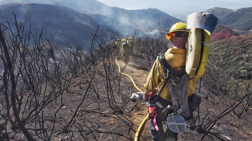 Noch immer sind in Kalifornien 665 Feuerwehrleute im Einsatz gegen den grössten Waldbrand in der Geschichte des US-Bundesstaats