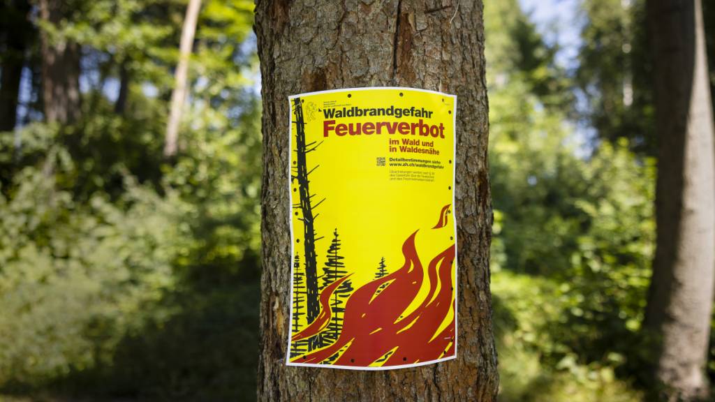 In Liechtenstein herrscht aktuell eine grosse Waldbrandgefahr. (Symbolbild)