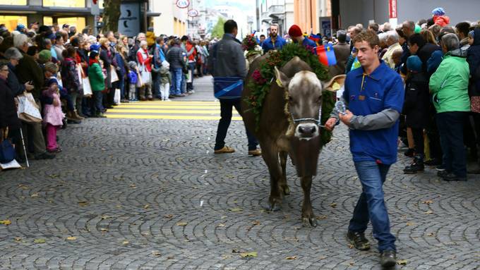 An der Olma ist der «Leu» los