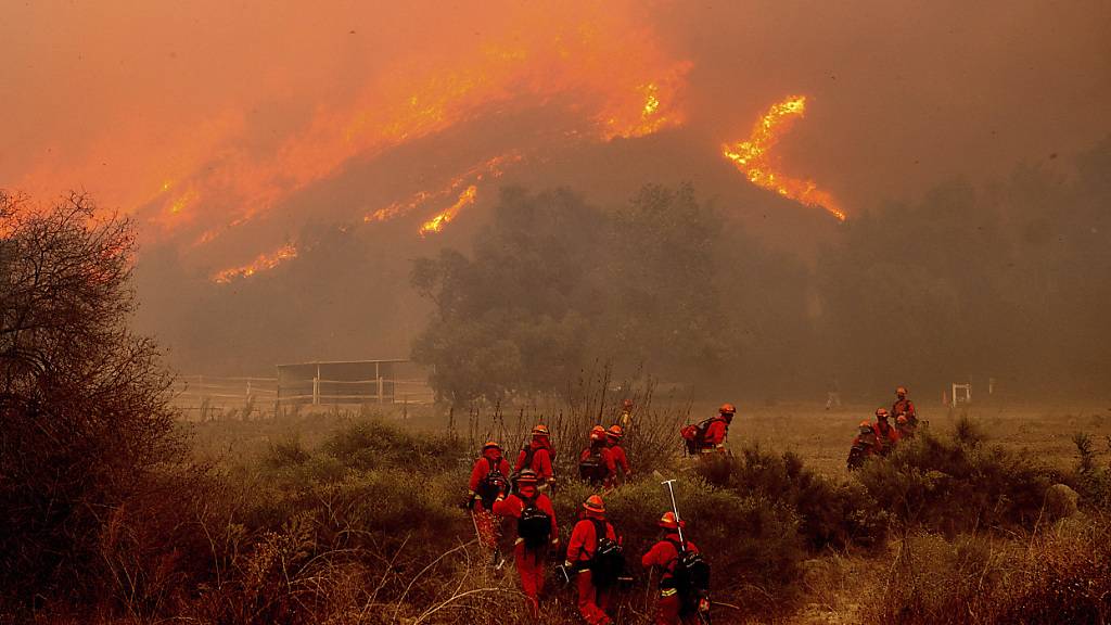 dpatopbilder - Feuerwehrleute kämpfen gegen das «Mountain Fire» bei Swanhill Farms. Foto: Noah Berger/AP/dpa