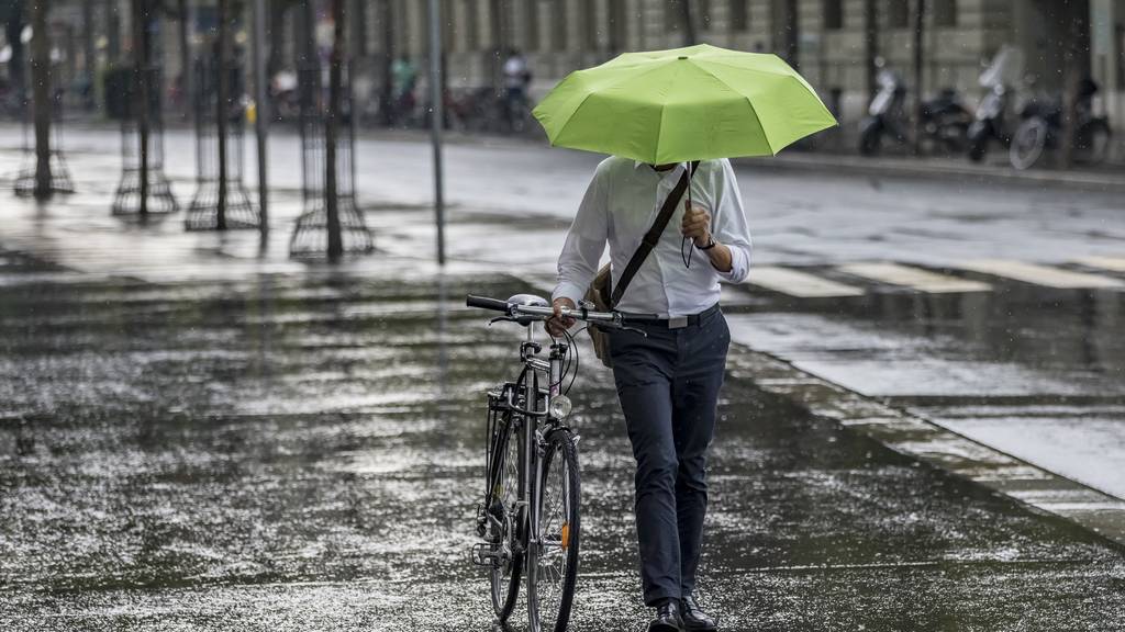 An manchen Orten brauchte man den Regenschirm so oft wie schon lange nicht mehr im Juli.