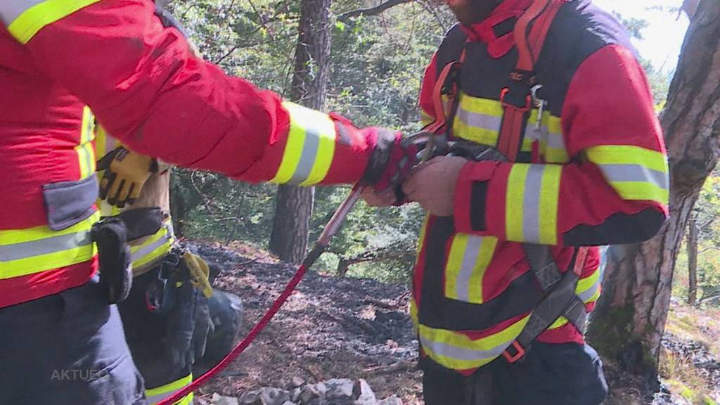 Feuerstelle nicht gelöscht: Oberhalb von Egerkingen brannte der Wald