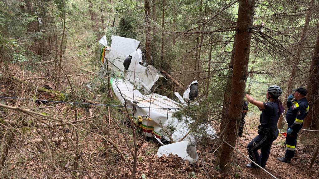 Ein Kleinflugzeug ist in Niederösterreich abgestürzt. Bei dem Absturz sind nach Angaben der Rettungsdienste zwei Menschen gestorben und zwei schwer verletzt worden. Foto: -/APA/Doku NÖ/dpa
