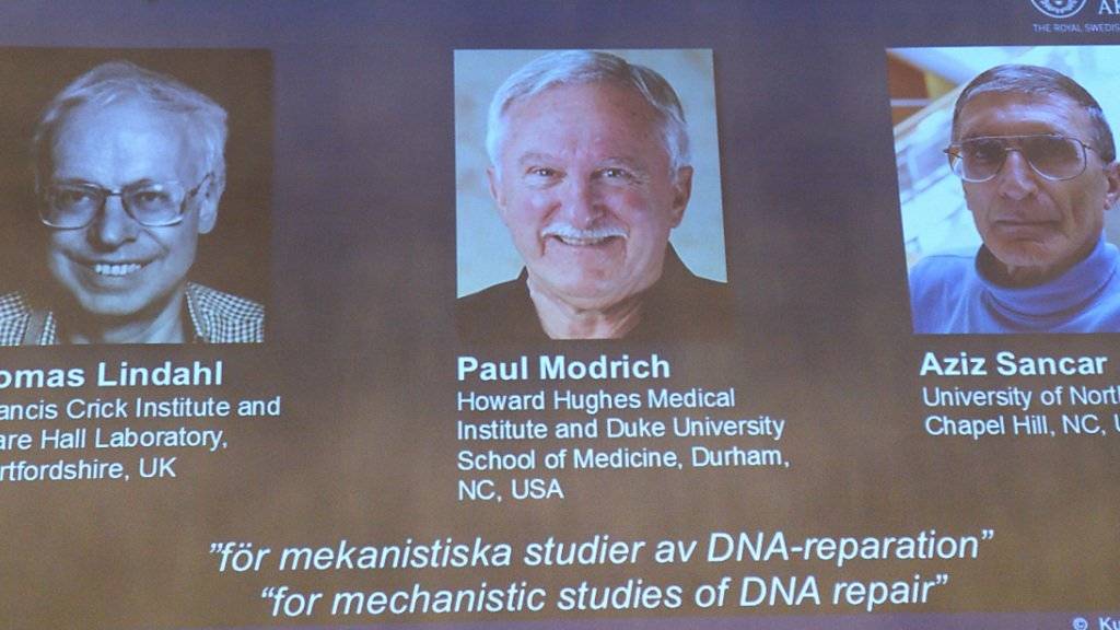 Diese drei Forschen erhalten den diesjährigen Nobelpreis für Chemie, weil sie «fundamentales Wissen über das Funktionieren lebender Zellen» geschaffen haben, so die Begründung.