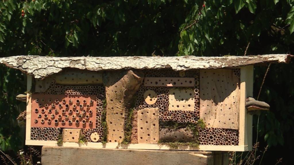 Hotel für Bienen
