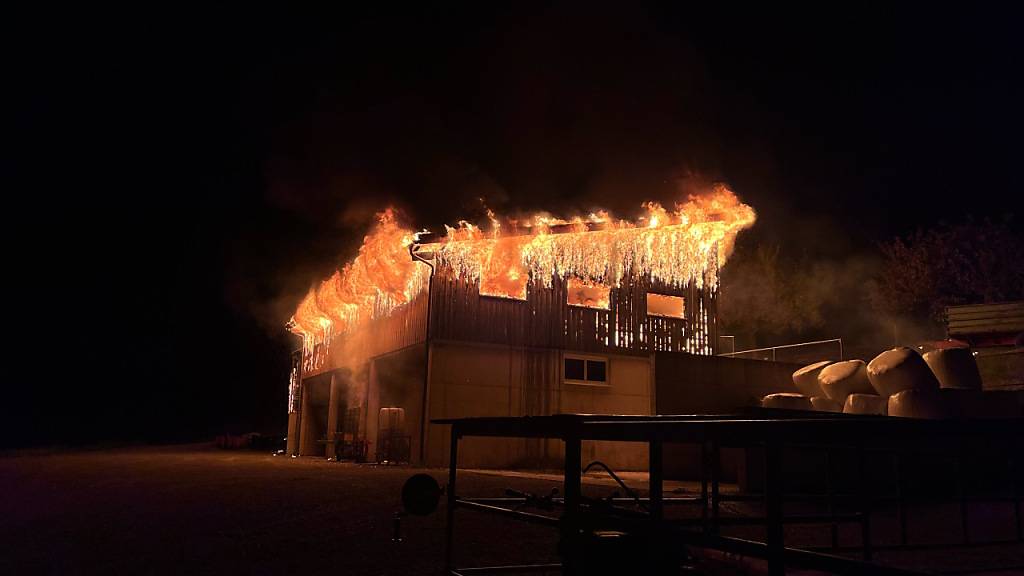 Ein Brand in einer Scheune in Rorschacherberg SG hat in der Nacht auf Mittwoch einen Sachschaden von mehreren hunderttausend Franken verursacht. Menschen oder Tiere kamen keine zu Schaden.